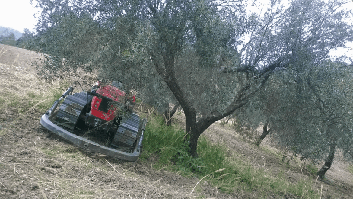 Controllo diretto su tutte le fasi di crescita e produzione