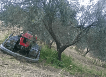 Controllo diretto su tutte le fasi di crescita e produzione